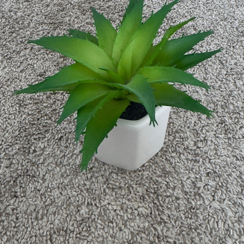 Target Faux Green Succulent artificial plant in white Planter 3”x6”